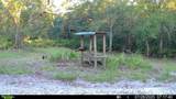 2669 Suwannee Valley Road - Photo 63