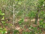 Lot 13 Rainbow Lakes Boulevard - Photo 10