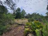 Corner of Oak and Cypress Road - Photo 4