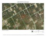 0 127 AVENUE Road - Photo 2