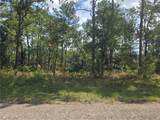 7441 June Terrace - Photo 2