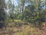 7441 June Terrace - Photo 4