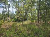 7441 June Terrace - Photo 7