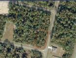 3301 158TH Loop - Photo 1