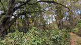2259 Wildflower Court - Photo 4