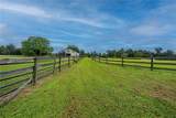 12615 Gainesville Road - Photo 60