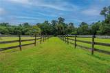12615 Gainesville Road - Photo 65