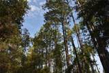 180 Caravelle Farms Road - Photo 13