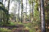 180 Caravelle Farms Road - Photo 21