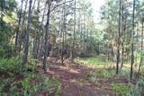 180 Caravelle Farms Road - Photo 22