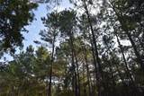 180 Caravelle Farms Road - Photo 23