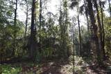 180 Caravelle Farms Road - Photo 30