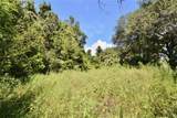 12 Lots Pine Forest Circle - Photo 17