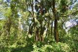 12 Lots Pine Forest Circle - Photo 18
