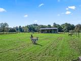 9209 Highway 316 - Photo 49