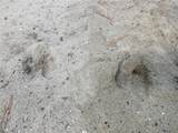  171ST Court - Photo 10