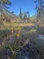00 73RD Lane - Photo 15