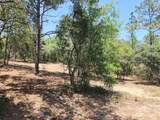 Lot 18 Pine Bluffs Road - Photo 4