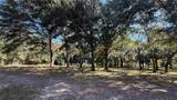 41030 Oak Grove Road - Photo 5