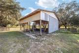 36203 Micro Racetrack Road - Photo 44