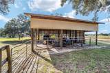 36203 Micro Racetrack Road - Photo 45