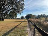 14525 Highway 464B - Photo 20