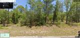 TBD Buena Vista Road - Photo 3