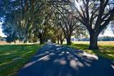 11750 22ND AVE Road - Photo 5