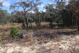 9097 Peewee Point - Photo 2