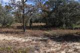 9097 Peewee Point - Photo 3
