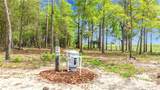 23360 Tiger Lake Boulevard - Photo 36