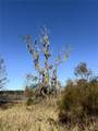  110TH Avenue - Photo 8