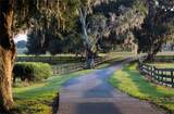 12870 Highway 40 - Photo 4