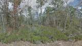 217 Cypress Street - Photo 1