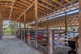 27910 Debbie Road - Photo 58