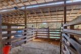 27910 Debbie Road - Photo 59