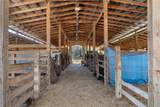27910 Debbie Road - Photo 61