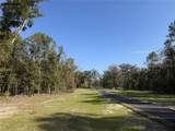 Irvine Acres #3 (10a Hwy 318 - Photo 7