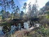 12714 State Road 33 - Photo 7