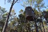150 Caravelle Farms Road - Photo 20