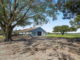 19331 Levy Street - Photo 65
