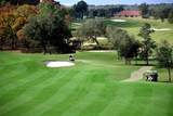 23 Mickey Mantle Path - Photo 49