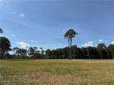 DR #3 (10ac) 193RD ST - Photo 4