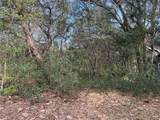 102 David Drive - Photo 6