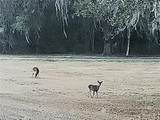 0 142 Street - Photo 10
