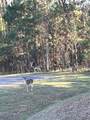 TBD 148 Lane - Photo 2