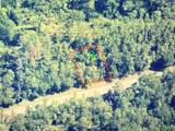 781 Byrd Loop - Photo 1