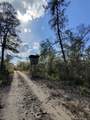 TBD 170TH AVENUE Road - Photo 6
