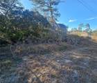  Malauka Pass Crse - Photo 3