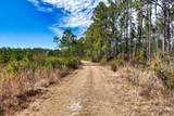 60 Acres Clyatt Road - Photo 12